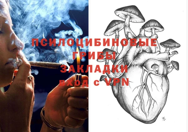 крисы Лагань