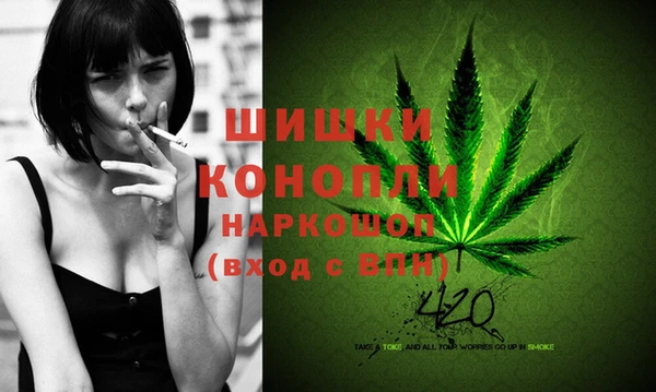 крисы Лагань