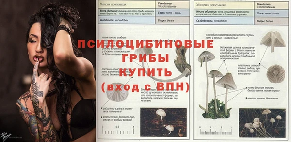 каннабис Лабытнанги