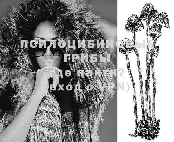 крисы Лагань