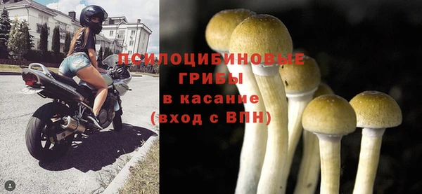 каннабис Лабытнанги