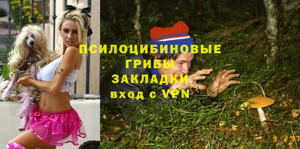 гидропоника Дрезна