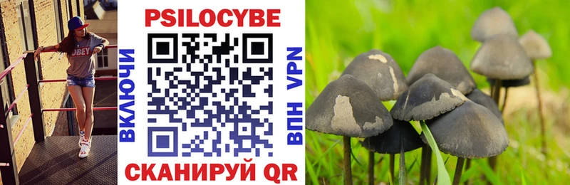 Псилоцибиновые грибы Psilocybine cubensis  купить   Кумертау 