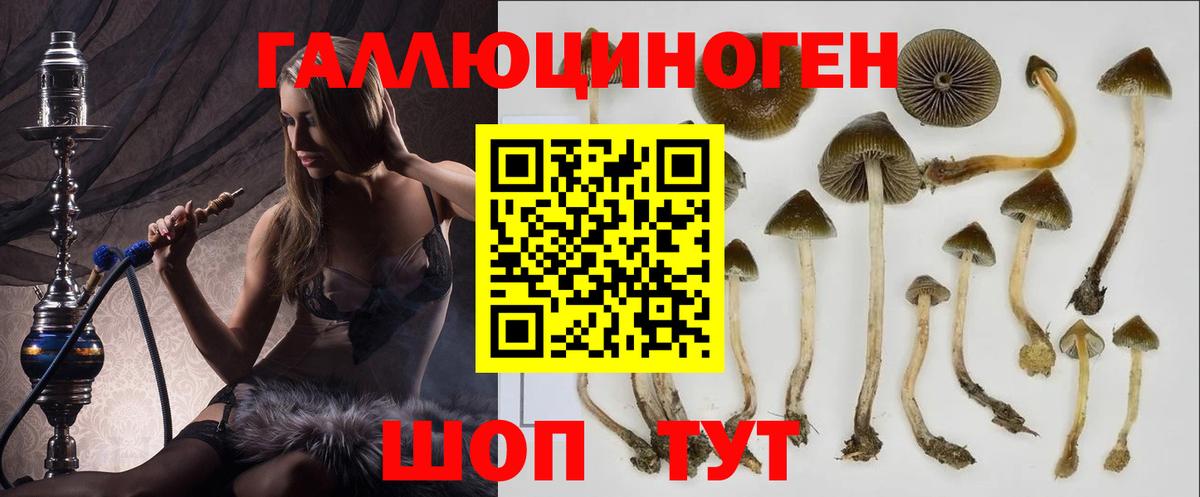 Псилоцибиновые грибы GOLDEN TEACHER Кумертау