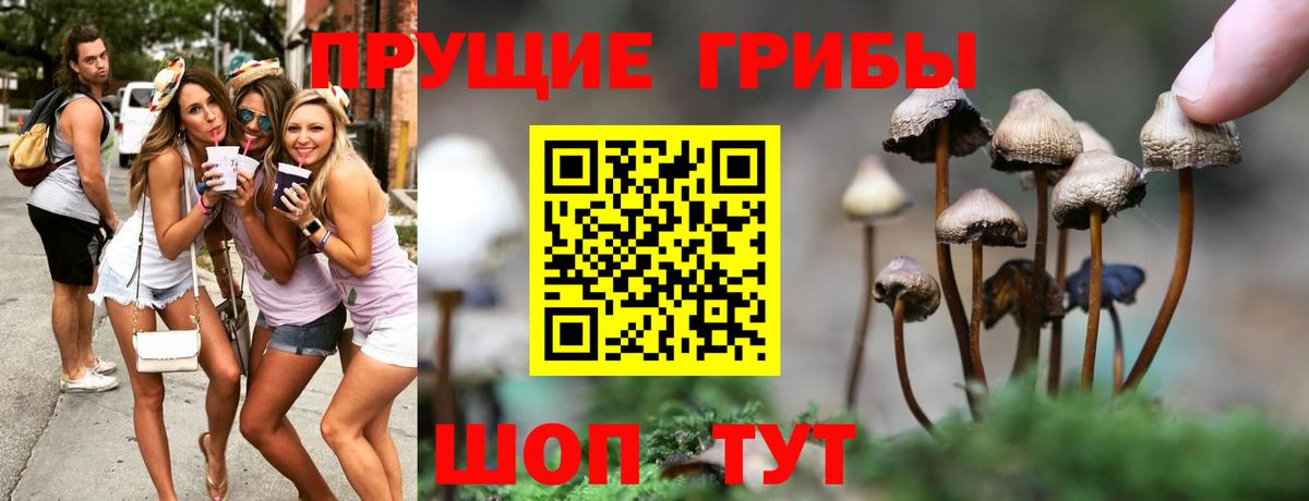 Галлюциногенные грибы мицелий  Вход с VPN  Кумертау 